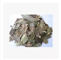 Chinese herbal medicine tea wild Four Season green holly leaf tea lobular Holly hair Holly winter green now fresh 500g new goods