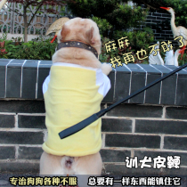 Ever since no more flipping infighting dog bago training to take a pet training dog and whipping a dog stick.