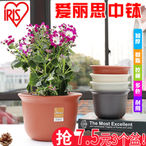 Alice short thickened resin plastic flower pot outdoor garden Alice medium bowl growing vegetables without tray p169