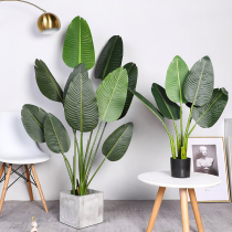 Large Traveler Canna Paradise Bird Bonsai Simulation Plant Interior Decoration Floor Fake Potted Green Plant Decoration Tree