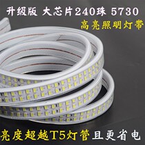  Lamp with led living room ceiling ceiling bedroom ultra-bright white light 220v outdoor waterproof 110V double row 5730 strips