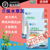 Water grass Lan Baolan Baolanbao water Grass Mud grass tank bottom bed water mud crystal shrimp drop acid high fertilizer
