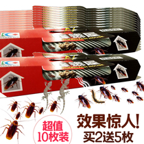 Home killing cockroaches paste Xiaoqiang artifact Japanese small black house removal cockroach House catcher