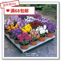 Flower edge Pickles imported flower seeds * Japanese TAKII * horny * Treasures series 10