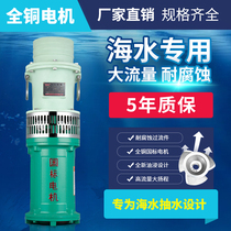 QY oil immersion pump diving pump 380V deep well pump pumping machine industrial high-power seawater pumping culture resistant to corrosion pump