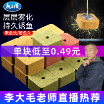 Dragon King hates cube bait giant silver carp bait throwing Rod explosive hook nest material wild fishing red insect rapeseed cake bait