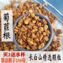 Chicory root 500g Wild premium Changbaishan drop row magnolia root Uric acid Gardenia tea and Dandelion root