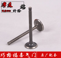 Apply JOG Foecycog Car Play with Flowers Married Eagle 100 Ghost Fire Rz Original Fitting Into Exhaust Valve Combinations