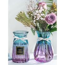 Bottle glass creative Net red hydroponic glass vase transparent Lily rich bamboo starry flower arrangement