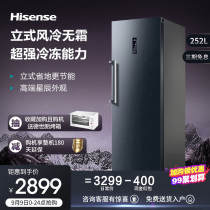 Hisense Hisense BD-252WVUT Frost Free Commercial Large Freezer Freezer Freezer Home Small Vertical Single Door