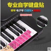 Electronic piano sticker 36 keys 88 61 51 universal piano keyboard sticker contrast drawing keyboard practice fingering stair