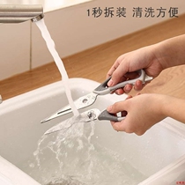 Eat scissors Kitchen Household baby cut meat chicken bones for children with chicken bones large and large f