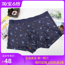 Dylanka new mens underwear M2038 middle waist modal Wormwood antibacterial seamless boxed boxed boxer underwear men