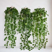 Simulation plant wall decoration home living room wall decoration sofa TV background wall Balcony decoration wall pendant