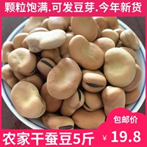 New dry broad beans 5kg fresh bulk raw broad beans Luohan beans dry beans can germinate fried broad bean snacks