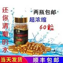 (2 bottles) Jiebao 60 ultra-concentrated nitrifying bacteria fish tank aquarium water purification compound Emm bacteria