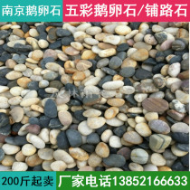 Nanjing natural river beach stone River pebble pebble stone rain stone Washing stone Garden courtyard paving landscape stone