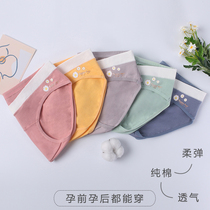 Low-waist pregnant womens underwear maternity womens pure cotton pregnancy morning and evening spring and summer small daisy pattern briefs breathable