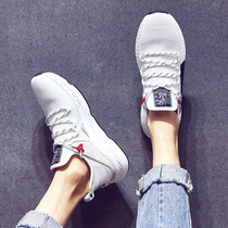 Hong Kong Chaobou Little White Shoe Men 2022 New Korean version 100 Lap Sails Cloth Shoes Net Face Breathable heightening casual shoes