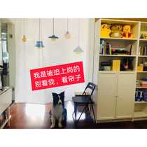 Bathroom Water Retaining Bath Curtain Toilet Suit Free of perforated window curtain Bath Hanging Curtain thickened Pendant Waterproof Pull Curtain