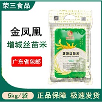 Golden Phoenix Zengcheng Xiangzao Mie 5kg Pot Rice Special Rice Oil Sticky Rice 10 catty of soft incense rice Guangdong