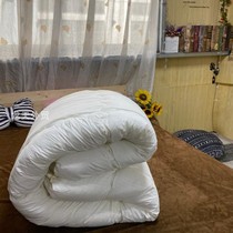 Chemical fiber thickened double-tailed quilt soft autumn and winter fluffy machine washable export quilt core foreign trade White