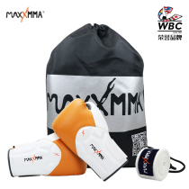 Maima boxing gloves Adult mens and womens professional fighting Free fight training Muay Thai Sanda Sand bag special gloves