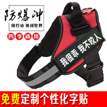 K9 pooch with chest braces for dog traction rope Kimura Labrador large dog chain in Alaska