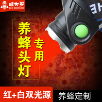 Beekeeping head lamp red light strong light head-mounted super bright LED charging Bee King tools for insect migration