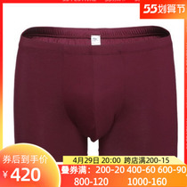 Mr. Adore Special Cabinet New Underpants Men Modale Without Marks Waist Flat Corner Pants NS23A011