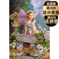 Spot Butterfly Elf Imported Puzzle castorland 1500 Piece Flower Fairy