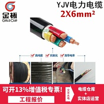 Gold cup cable YJV2 core 6 square outdoor pure copper wire engineering power cable wire double copper core national standard cable