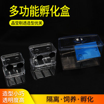 Zebrafish breeding box aquarium special fish guppies light fish isolation box Fry incubator tropical fish incubator box