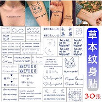Herbs tattoo stickers simple English cute cat clavicle sexy Net red juice tattoo stickers semi-permanent