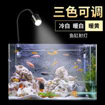 Flower fish tank spotlight South American led fish tank clip lamp water ethnic lamp Three lakes raw fish tank original cylinder water straw cylinder sea cylinder spotlight