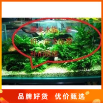 The Huo Shui ethnic freight price difference Link FedEx freight links How many pieces to make up for how many pieces