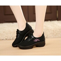 2020 new summer square dance womens shoes chrysanthemum hutong net sports old Beijing cloth shoes womens middle dance shoes