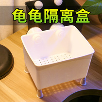 Turtle Isolates Case Acrylic Thickened Isolation Case White Juvenile Turtle Fry Rearing Fish Fry Fish Tank Aquarium Incubators