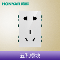 Hon Goose Switch Socket FC120 Series Large Five Holes Socket Mounting Module Mounting Panel For Another Purchase