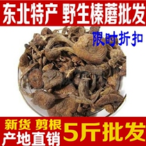 Northeast farmhouse native specialties wild hazelnut mushroom 500 grams of producing area direct sales of new mushrooms dry goods without roots and tender