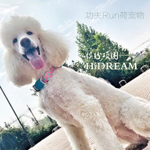 HiDREAM Fun Dog Item Circle Small mid Large Dog Neck Ring Adjustable Kirkafu Gold Gross Universal Supplies