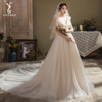 Starry light wedding dress 2021 New temperament Bride wedding slim dress vneck tail Dreamland Super fairy