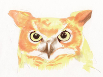 Teacher Chen Yu-min Hand-painted owl copic Sketch2 generation alcohol oily marker (15 colors)