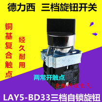 China Delcy knob switch Three-gear knob LAY5-BD33 Three-gear two often open special price