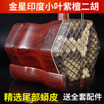 Rhyme pursuer Indian leaflet red sandalwood Erhu musical instrument collection performance Gold star old material Suzhou factory direct sales