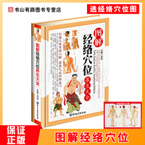 Genuine illustration Meridian acupoint health Daquan Human meridian acupoint illustration book Color plate Meridian health books Traditional Chinese Medicine massage meridian acupoint books Human meridian user manual Illustration health and health