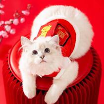 Teddy New Years dress small red envelope cotton clothes thick warm dog Tang suit than mi small dog autumn and winter clothes