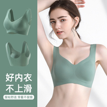 Cat Man without trace naked invisible underwear woman thin bra small bra without steel ring sports vest style bra summer