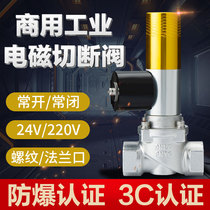 Solenoid valve 24v Industrial commercial natural gas control valve 220V Automatic cut-off valve combustible gas alarm device