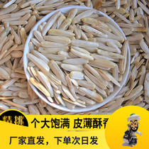 Aksu white horse tooth melon seeds 250g * 4 packs of toothpick melon seeds Xinjiang specialty white skin super big sunflower seeds slender